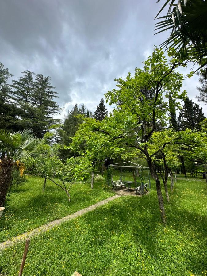 Imeri Park Hotel 쿠타이시 외부 사진